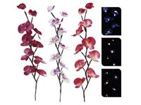 Afbeelding van Orchidee 65 cm mit 10 LED 3 fach sortiert, einzeln in Geschenkbox verpackt