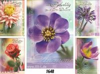Εικόνα της Geburtstags-Karte mit wunderschönen Blumen-Motiven, einzeln mit Cuvert in Cellophan verpackt