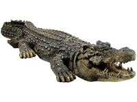 Εικόνα της Krokodil / Alligator aus Polystone, Länge: 46 cm, sehr detailgetreu gearbeitet & witterungsbeständig