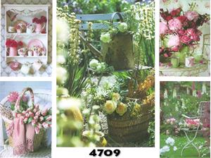 Bild von Blanco-Karte mit Frühlings- und Sommerblumen, einzeln mit Umschlag in Cellophan verpackt