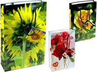 Εικόνα της Geschenkbeutel CD/DVD (150x35x229 mm), Sommer, 6 Motive, auch für Bücher geeignet