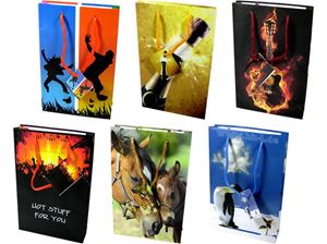 Bild von Geschenkbeutel mittel (180x100x227mm), Hot Stuff, 6 Designs sortiert