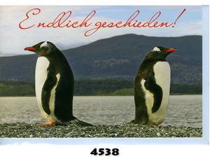 Immagine di Scheidungs-Karte für ''nicht-mehr-Ehepaare'', einzeln verpackt in Cello mit hellblauem Umschlag