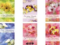 Image de Geburtstags-Karte mit farbigen floralen Motiven, einzeln mit farbigem Umschlag in Cello verpackt