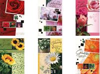 Изображение Geburtstags-Karte mit farbigen floralen Motiven, einzeln mit farbigem Umschlag in Cello verpackt