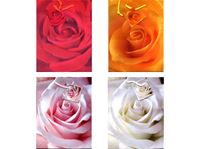 Bild von Geschenkbeutel mittel (230 x 180 x 100 mm), mit farbiger Kordel in 4 Designs, Rosenmotive