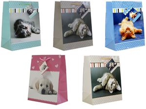 Obrazek Geschenkbeutel mittel (230 x 180 x 100 mm), mit farbiger Kordel in 5 Designs