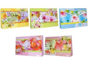 Picture of Geschenkbeutel groß quer (380 x 260 x 100 mm), mit farbiger Kordel in 5 Design
