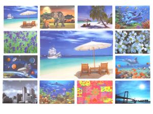 Picture of Platzdeckchen 3D 43 X 28cm 12 Motive sortiert, brillante Farben schlecht zu Fotografieren
