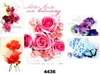 Resim Geburtstags-Karte mit modernen Blumenmotiven, Fachhandelskarten im 30er Verkaufsdisplay