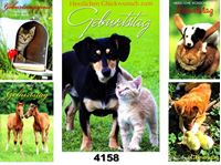 Immagine di Geburtstags-Karte mit mit Welpen Katzen und Fohlen, einzeln mit Cuvert in Cellophan verpackt