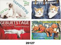 Εικόνα της Geburtstag-Karte ''Niedliche Katzen und Hunde'', Fachhandelskarten im 30er Verkaufsdisplay