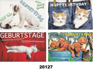 Image de Geburtstag-Karte ''Niedliche Katzen und Hunde'', Fachhandelskarten im 30er Verkaufsdisplay