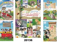Resim Geburtstag-Karte ''Hunde & Katzen'', Fachhandelskarten im 30er Verkaufsdisplay