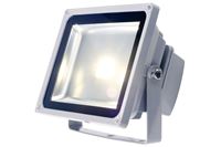 Obrazek LED Power Flood CW 30W IP65