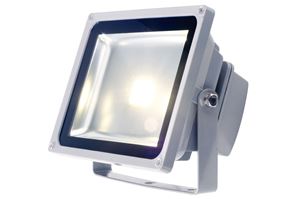 Picture of LED Power Flood WW 30W IP65