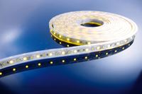 Image de LED Stripe WW+CW 5m 12V IP67 300 LEDs