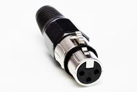 Resim Stecker XLR  3pol female gelb