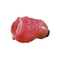 Изображение Lola's Pussy