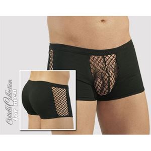 Изображение Pants Raven
