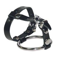 Resim Metall-Penisring mitt Hodenteil