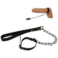 Picture of Willy Leash