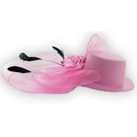 Afbeelding van Hair Clip with Veil And Feather
