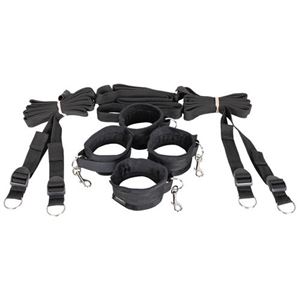 Bild von Under the Bed Restraint System