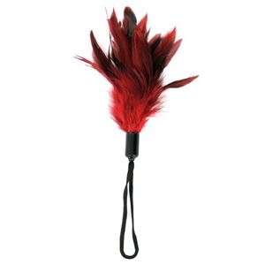 Picture of Pleasure Feather - Red