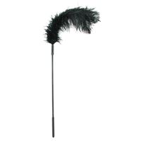 Afbeelding van Ostrich Tickler