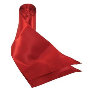 Afbeelding van S&M Silky Sash Restraints - Red