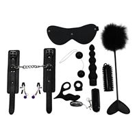 Picture of ToyJoy Sex Toy Kit - 10-teilig