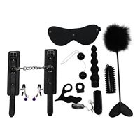 Resim ToyJoy Sex Toy Kit - 10-teilig