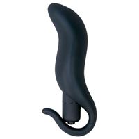 Immagine di Plug Vibrator