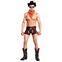 Bild von Cocky Cowboy Kostüm