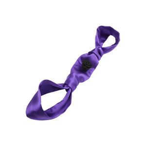 Picture of Luxuriöses Bondage-Seil in Violett