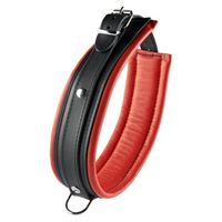 Imagen de Halsband in Schwarz mit Rot