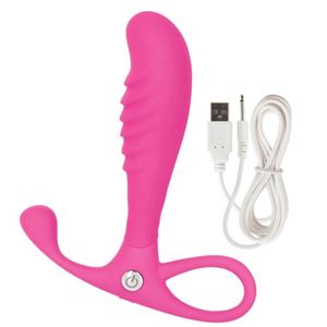 Bild von Analvibrator USB in Pink