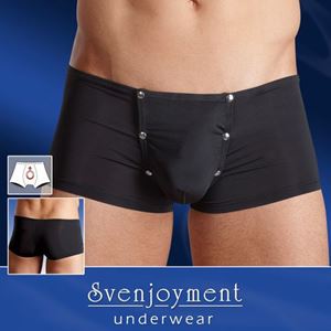 Изображение Pants Zunft