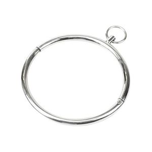 Afbeelding van Rundes Halsband aus Metall