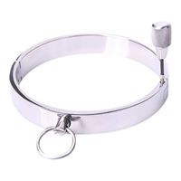 Picture of Kleines Halsband aus Metall