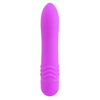 Immagine di Sanfter Vibrator in Violett