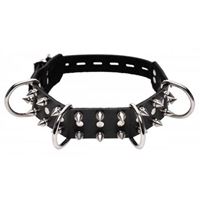 Picture of Eng sitzendes Hundehalsband mit Spikes