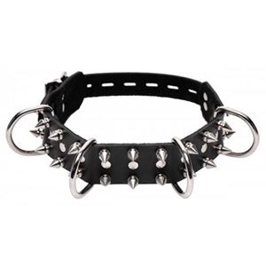 Bild von Eng sitzendes Hundehalsband mit Spikes