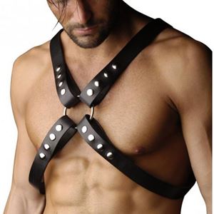 Imagen de Strammer Brustharness aus Leder mit 4 Gurten