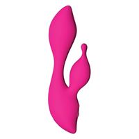 Picture of The Cygnet Swan Vibrator