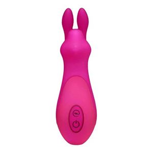 Bild von Bunny Vibrator in Pink mit 10 Stufen