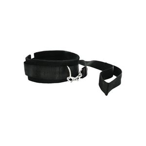Bild von Set Leine und Halsband in Schwarz