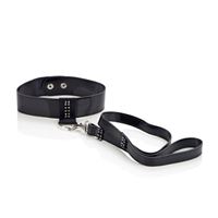 Picture of Leine und Halsband in Schwarz