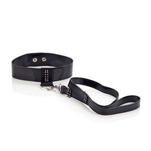Picture of Leine und Halsband in Schwarz